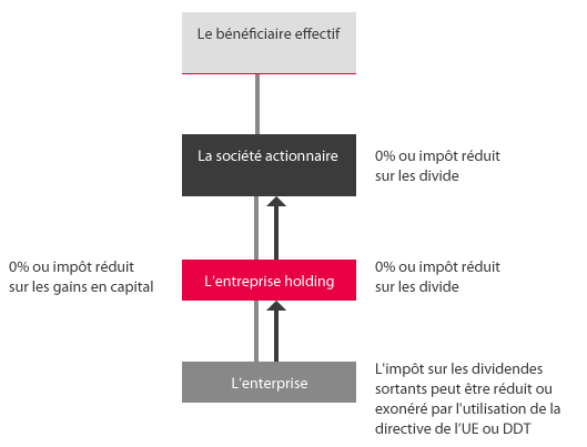 La structure holding La définition Une entreprise qui possède des actions d'une autre entreprise ou beaucoup d'entreprises (les filiales). Souvent désignée comme société mère. Elle peut aussi posséder une propriété immobilière ou bien une autre propriété. Une entreprise holding, si elle se trouve dans la juridiction appropriée, peut diminuer ou éliminer complètement l'impôt sur les dividendes entrants et sortants ainsi que sur les gains en capital.